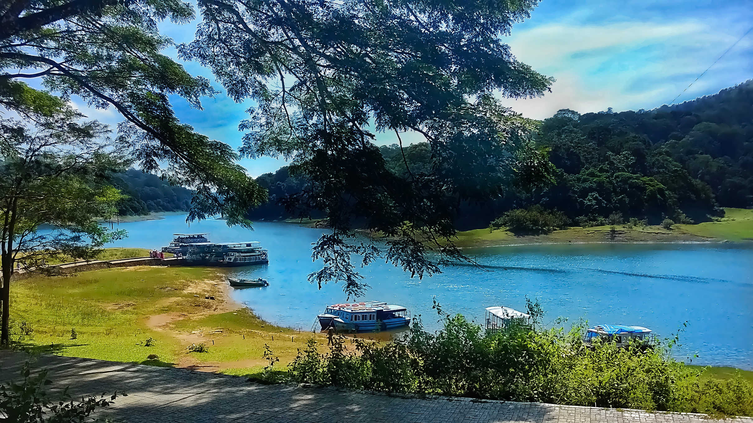 Boat safari in Thekkady